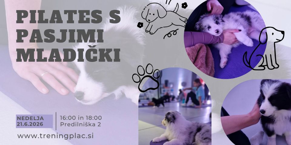 Puppy pilates v Mariboru
